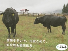 奈良県畜産農業協同組合